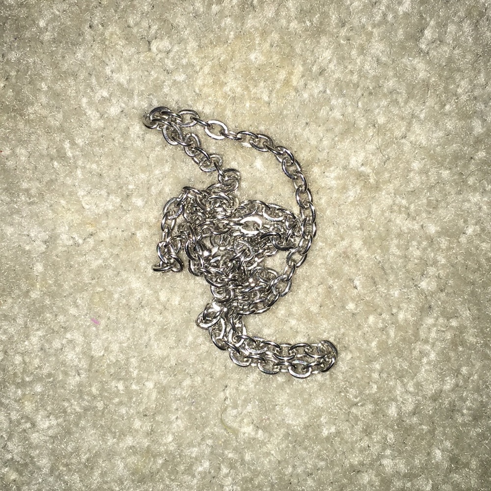 Silver Chain - Picture 2 of 4